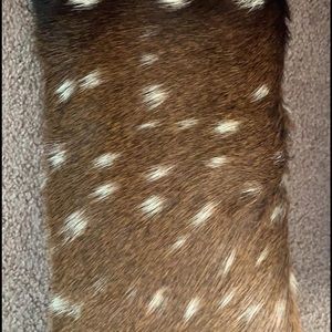 Set of Deer pillows